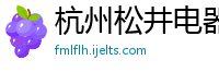 杭州松井电器设备有限公司